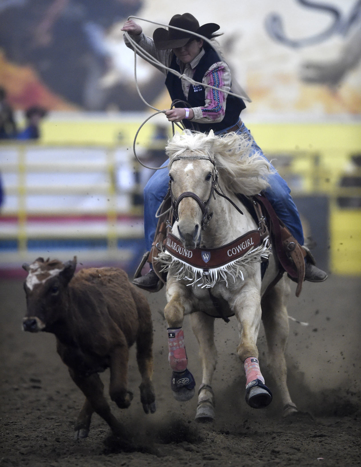CSI Rodeo, 2018